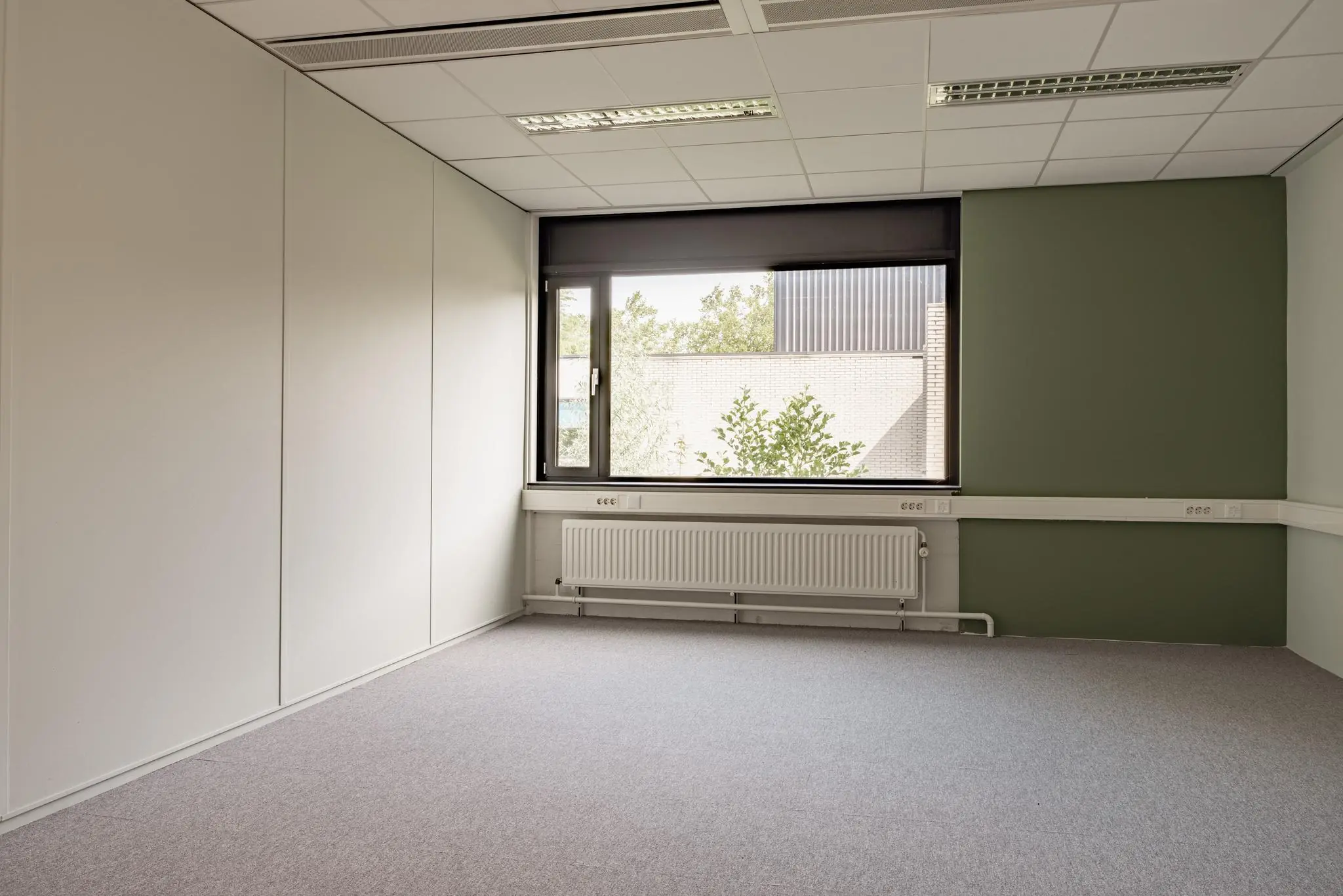 Leeg kantoor met grijs tapijt, groene accentmuur en groot raam aan de Burgemeester Verderlaan.